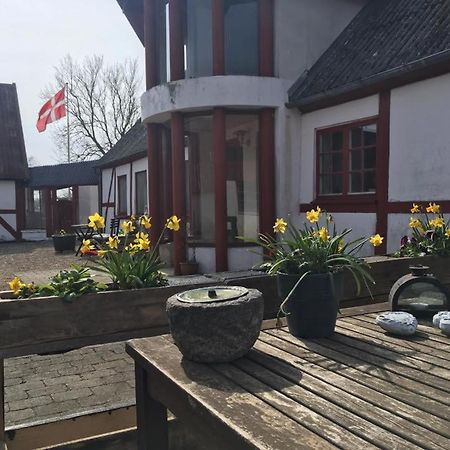 Bed and Breakfast Praestogaard Esterno foto