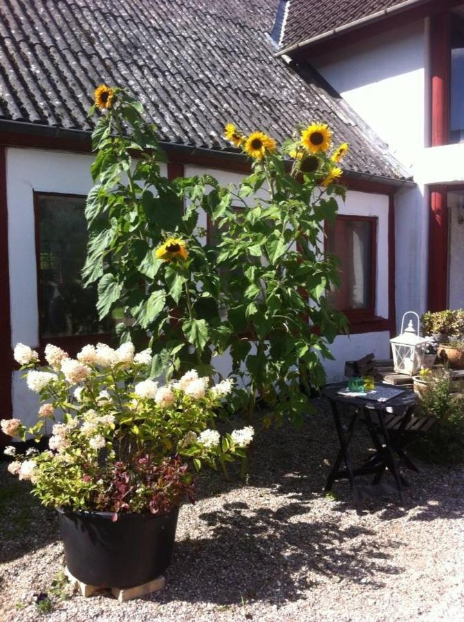 Bed and Breakfast Praestogaard Esterno foto