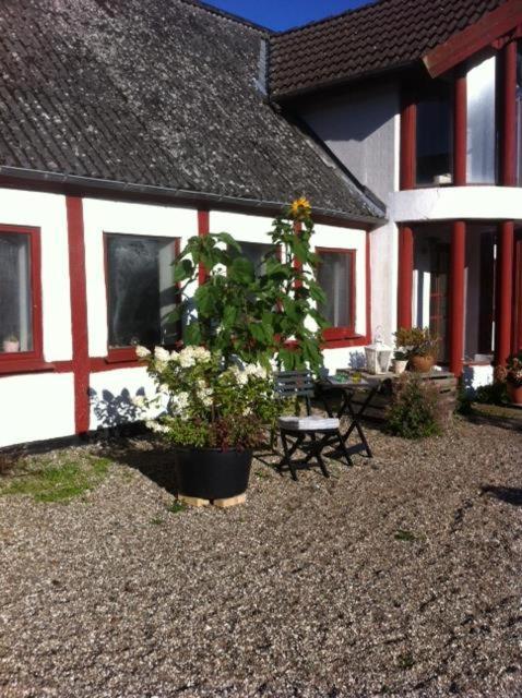 Bed and Breakfast Praestogaard Esterno foto