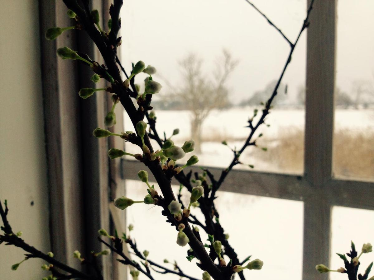 Bed and Breakfast Praestogaard Esterno foto