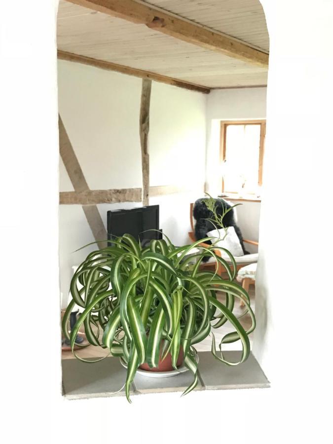 Bed and Breakfast Praestogaard Esterno foto